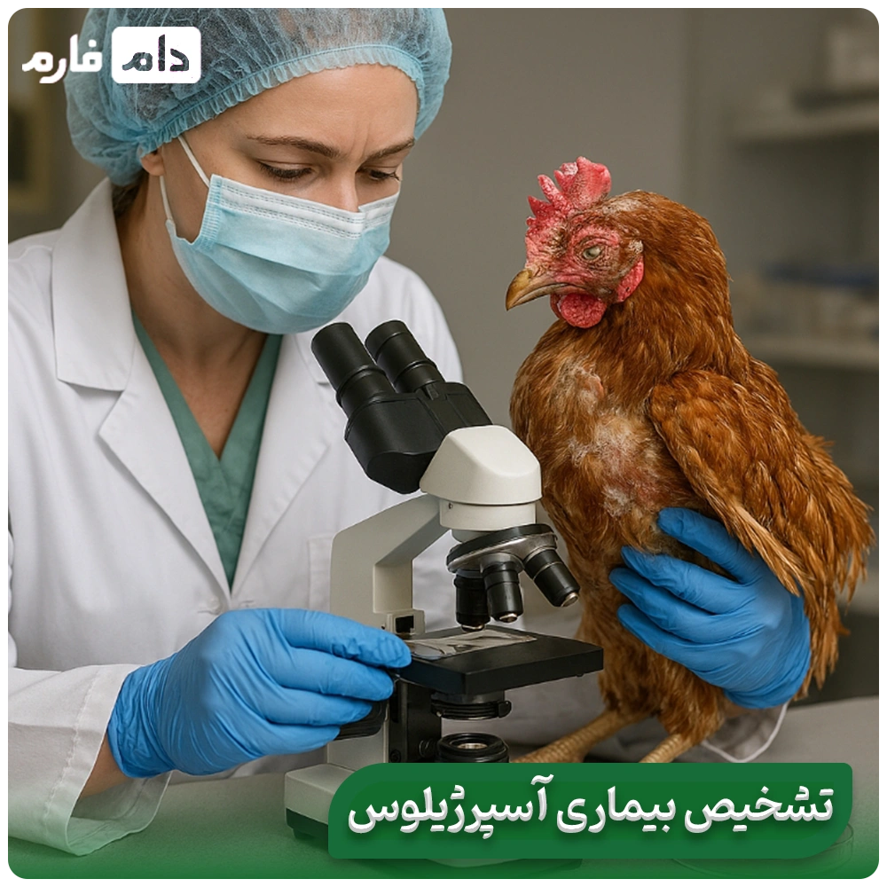 What-is-Aspergillus-disease-in-poultry-Aspergillus-disease