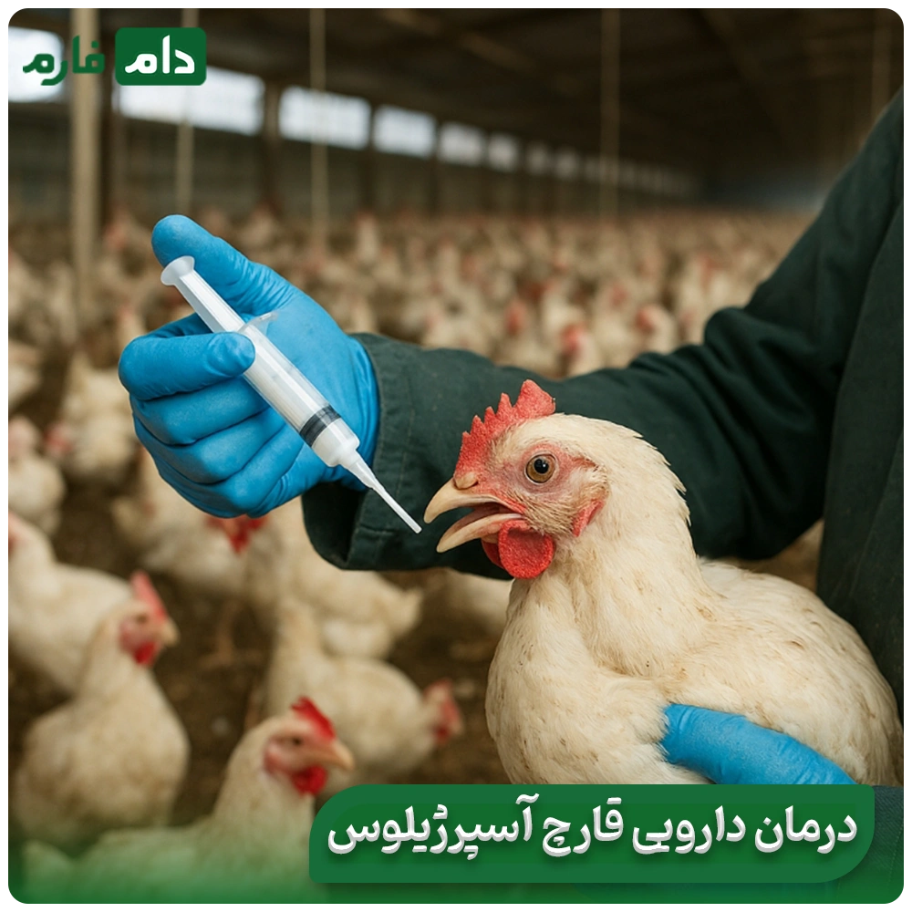 What-is-Aspergillus-disease-in-poultry-Aspergillus-disease