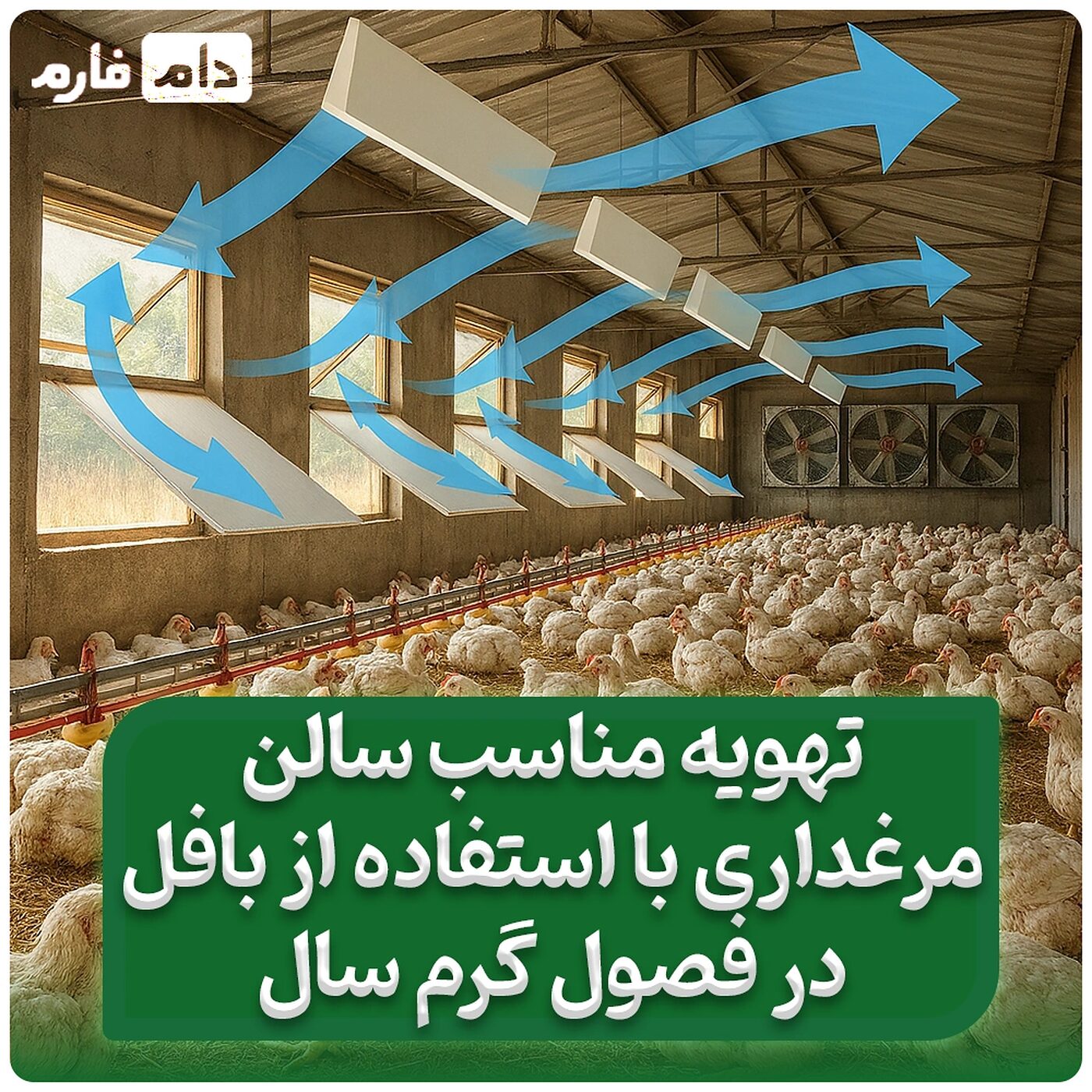 تهویه_مناسب_سالن_مرغداری_با_استفاده_از_بافل_در_فصول_گرم_سال