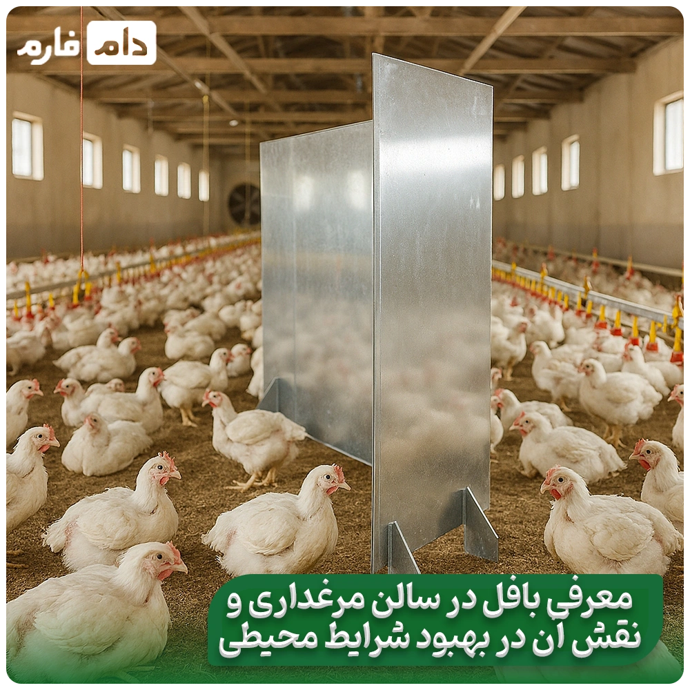 Proper-ventilation-of-the-poultry-house-using-baffles-during-hot-seasons