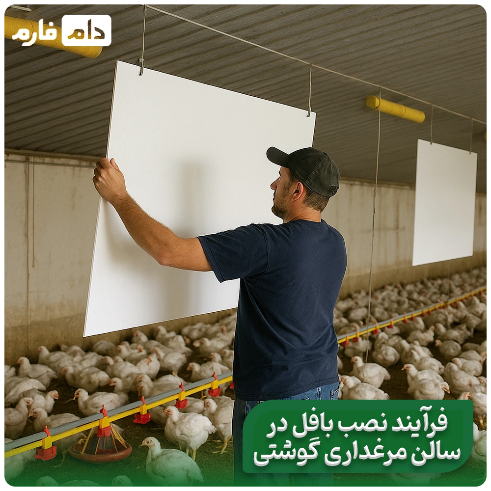 Proper-ventilation-of-the-poultry-house-using-baffles-during-hot-seasons