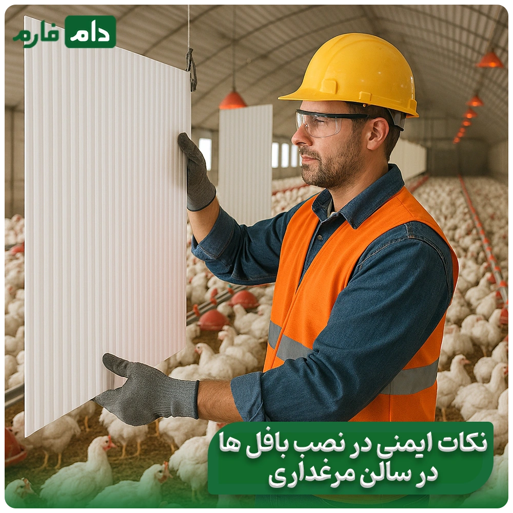 Proper-ventilation-of-the-poultry-house-using-baffles-during-hot-seasons