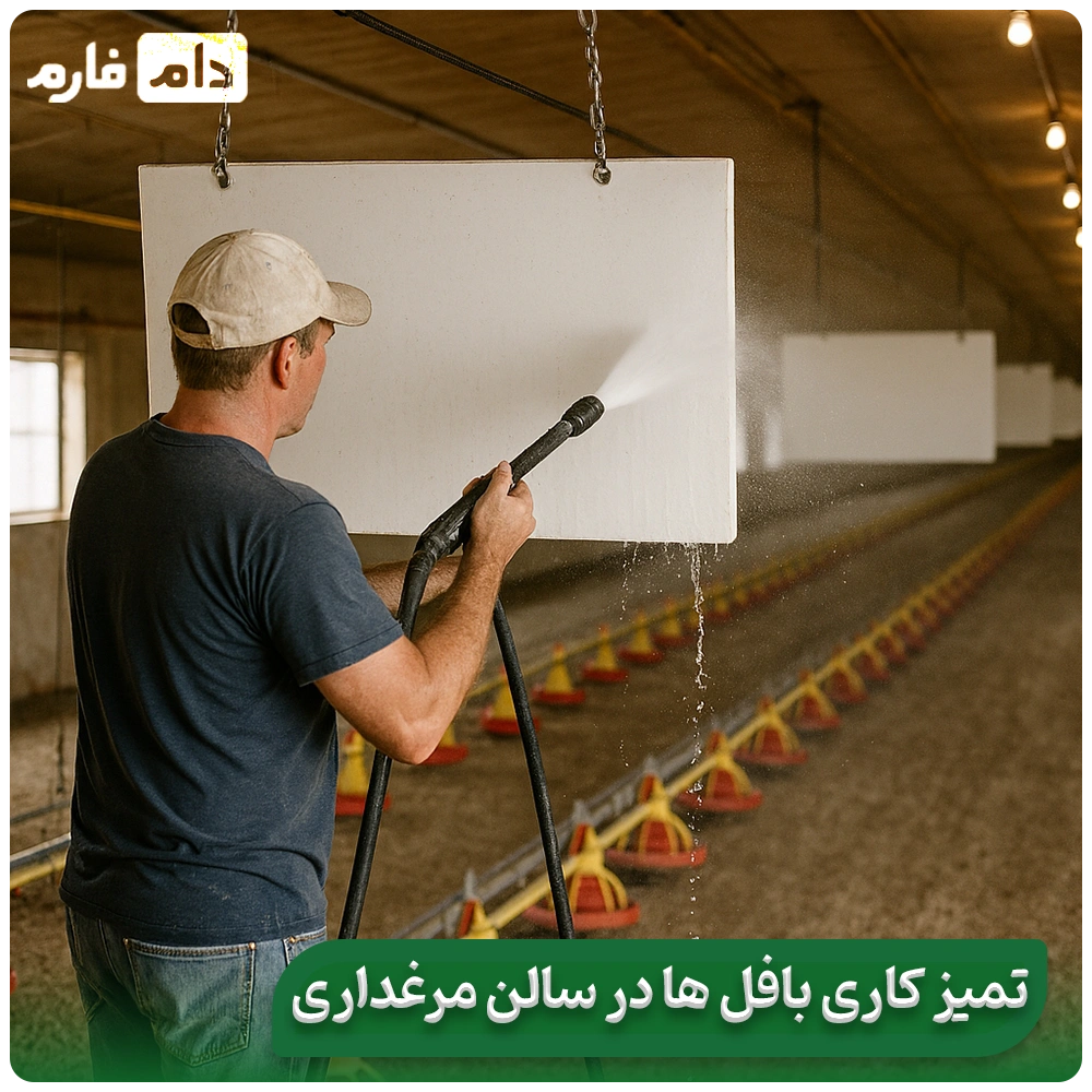 Proper-ventilation-of-the-poultry-house-using-baffles-during-hot-seasons