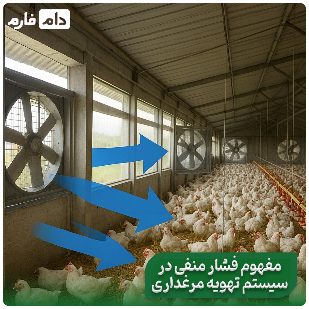 The-relationship-between-the-inlet-valve-and-negative-hall-pressure-in-the-poultry-house-ventilation-system