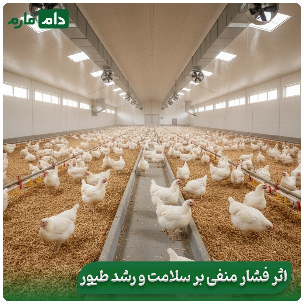 The-relationship-between-the-inlet-valve-and-negative-hall-pressure-in-the-poultry-house-ventilation-system