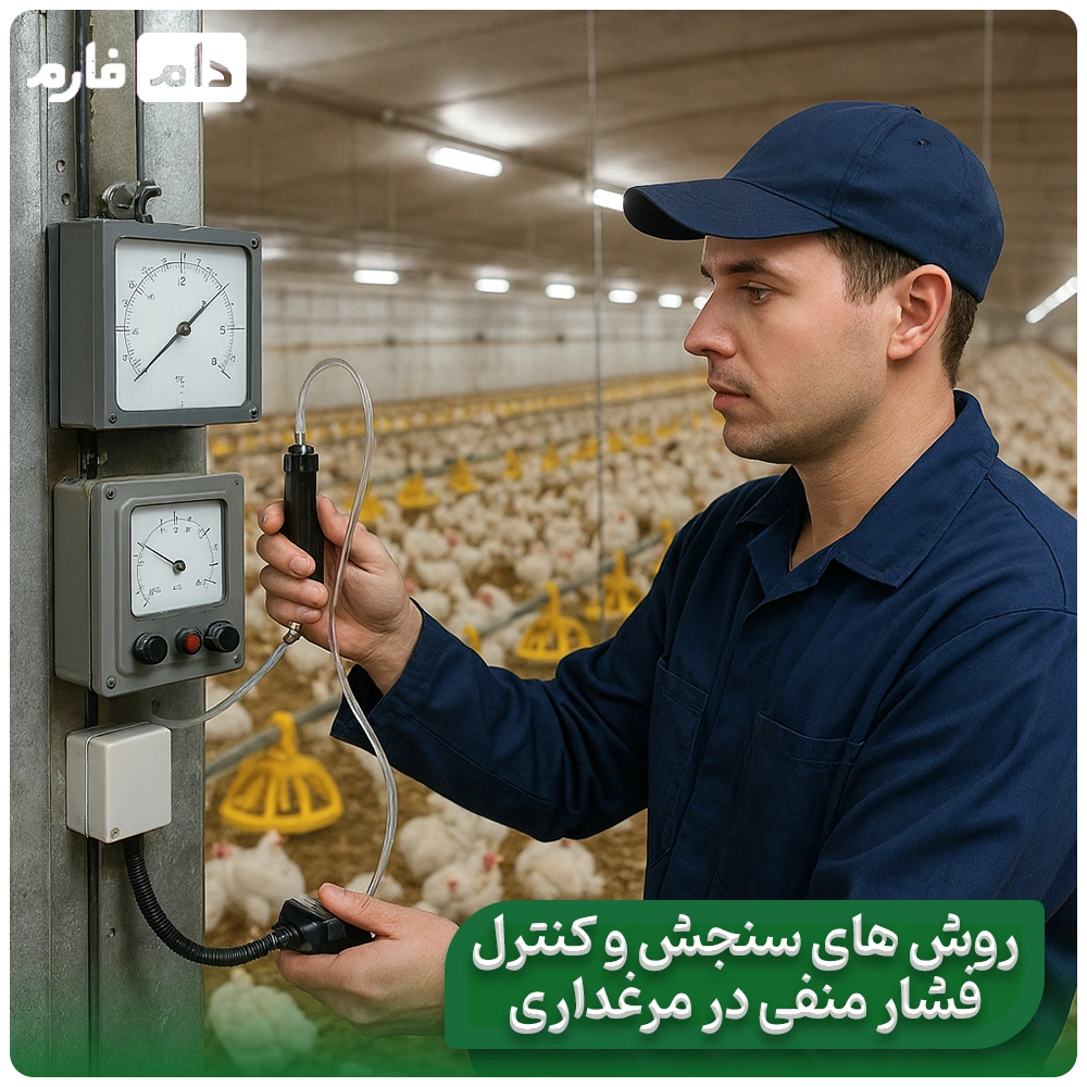The-relationship-between-the-inlet-valve-and-negative-hall-pressure-in-the-poultry-house-ventilation-system