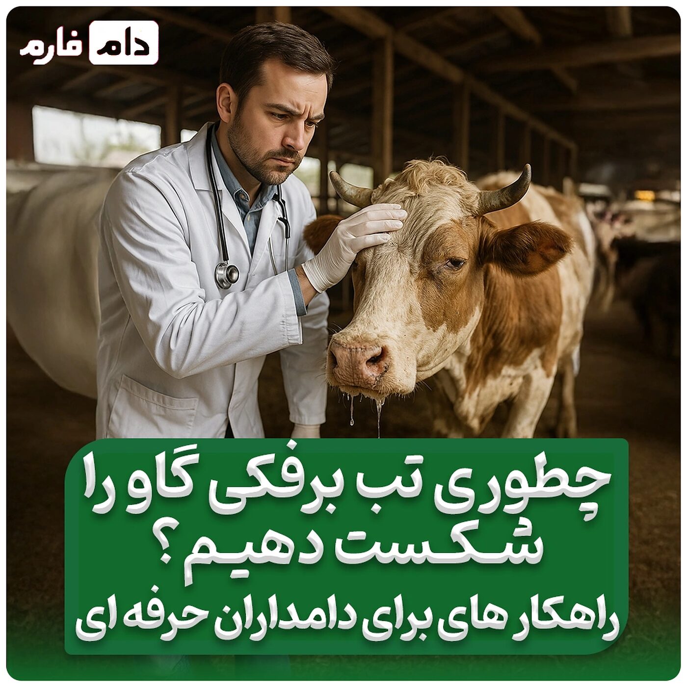 درمان_قطعی_تب_برفکی_گاو_:_پیشگیری_و_درمان_همزمان