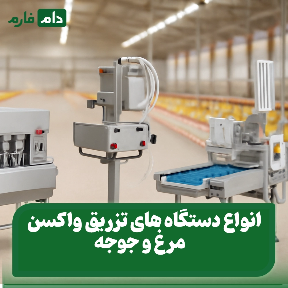 Chicken-and-chicken-vaccine-injection-devices:-from-traditional-to-smart-at-a-glance