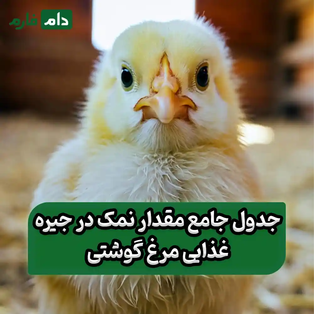 The-effect-of-salt-in-broiler-diets