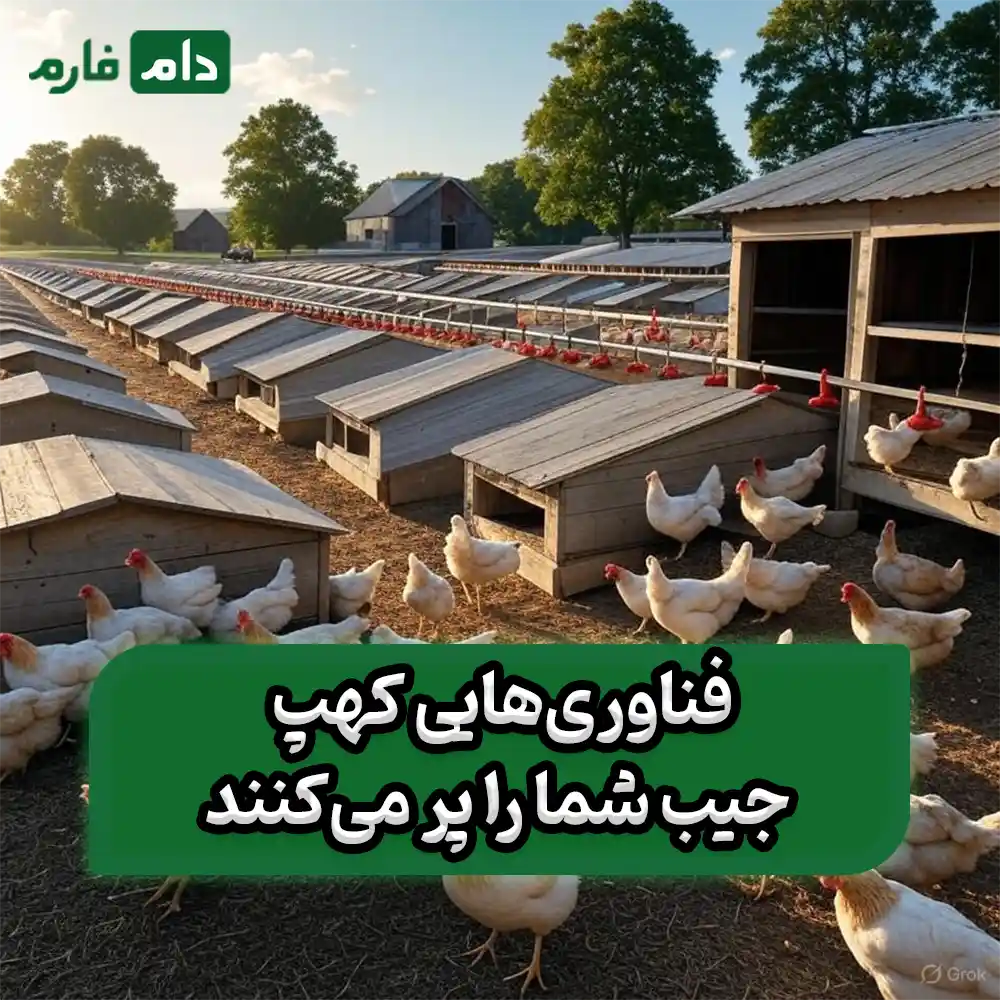 How-to-Reduce-Feed-Conversion-Ratio-in-Poultry-Farms:-A-Practical-Guide-to-Increasing-Poultry-Farm-Profits