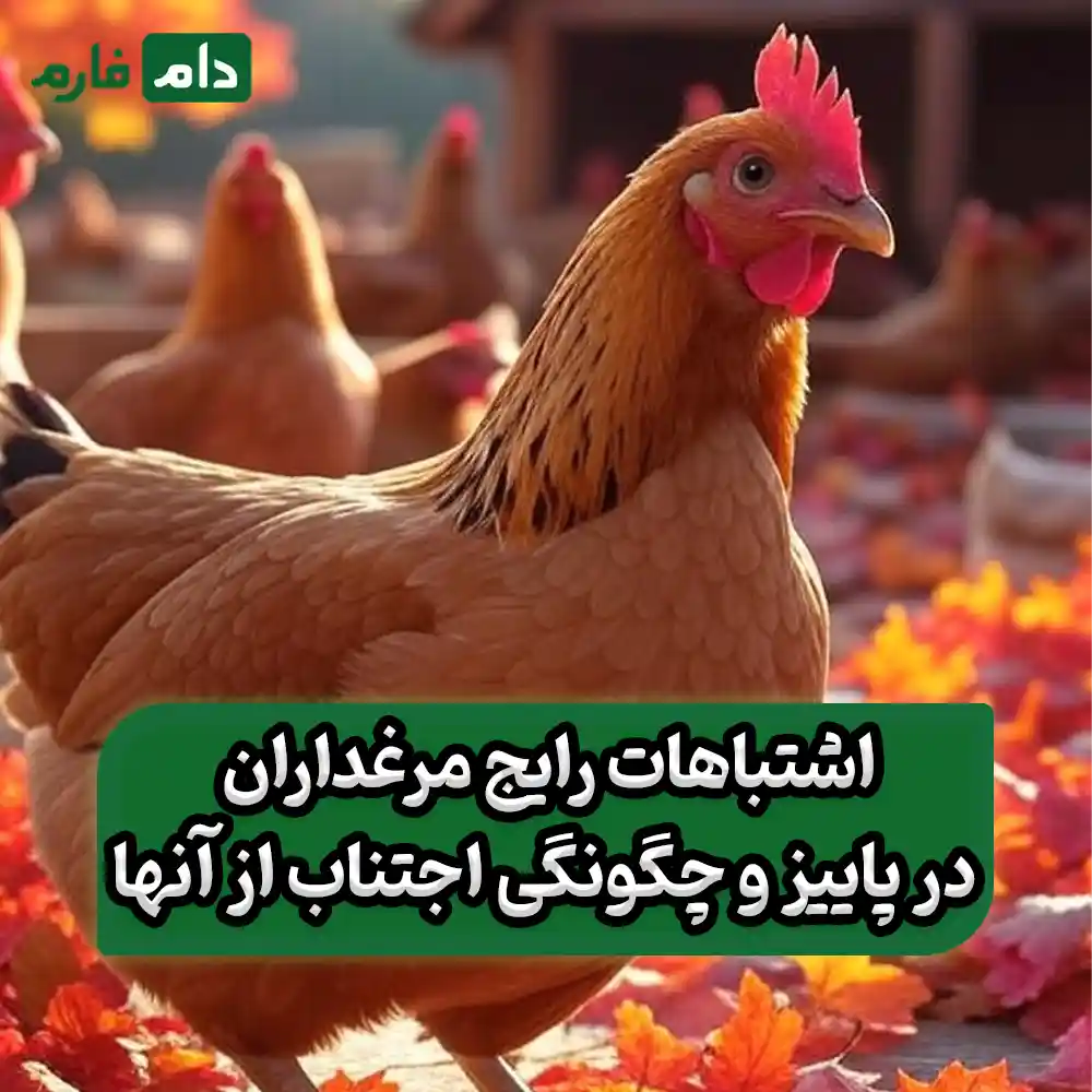 Strategies-to-reduce-poultry-losses-in-the-fall