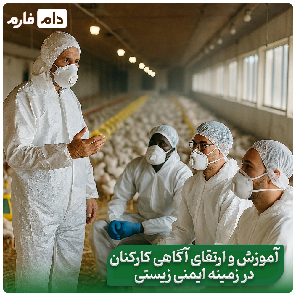 imni-zisti-(bayosikoriti)-dar-morghdarinpana