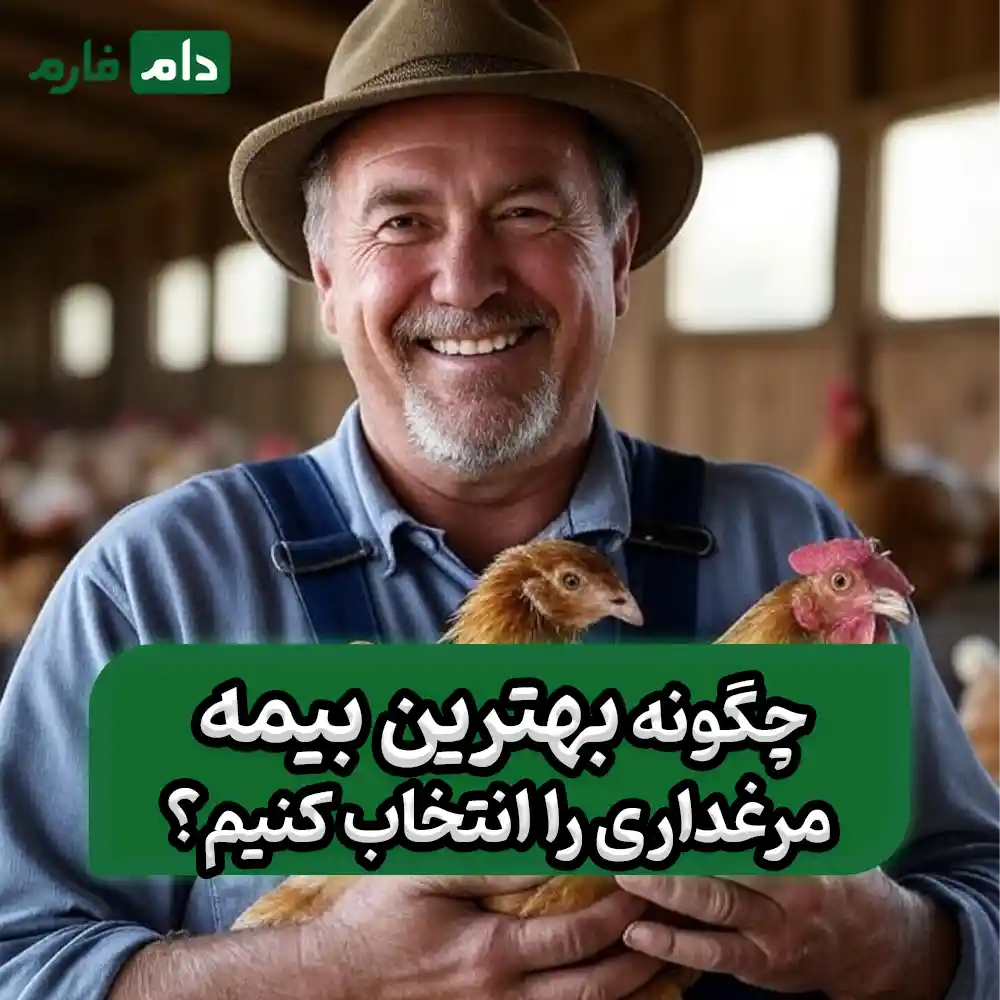 What-damages-does-poultry-insurance-cover