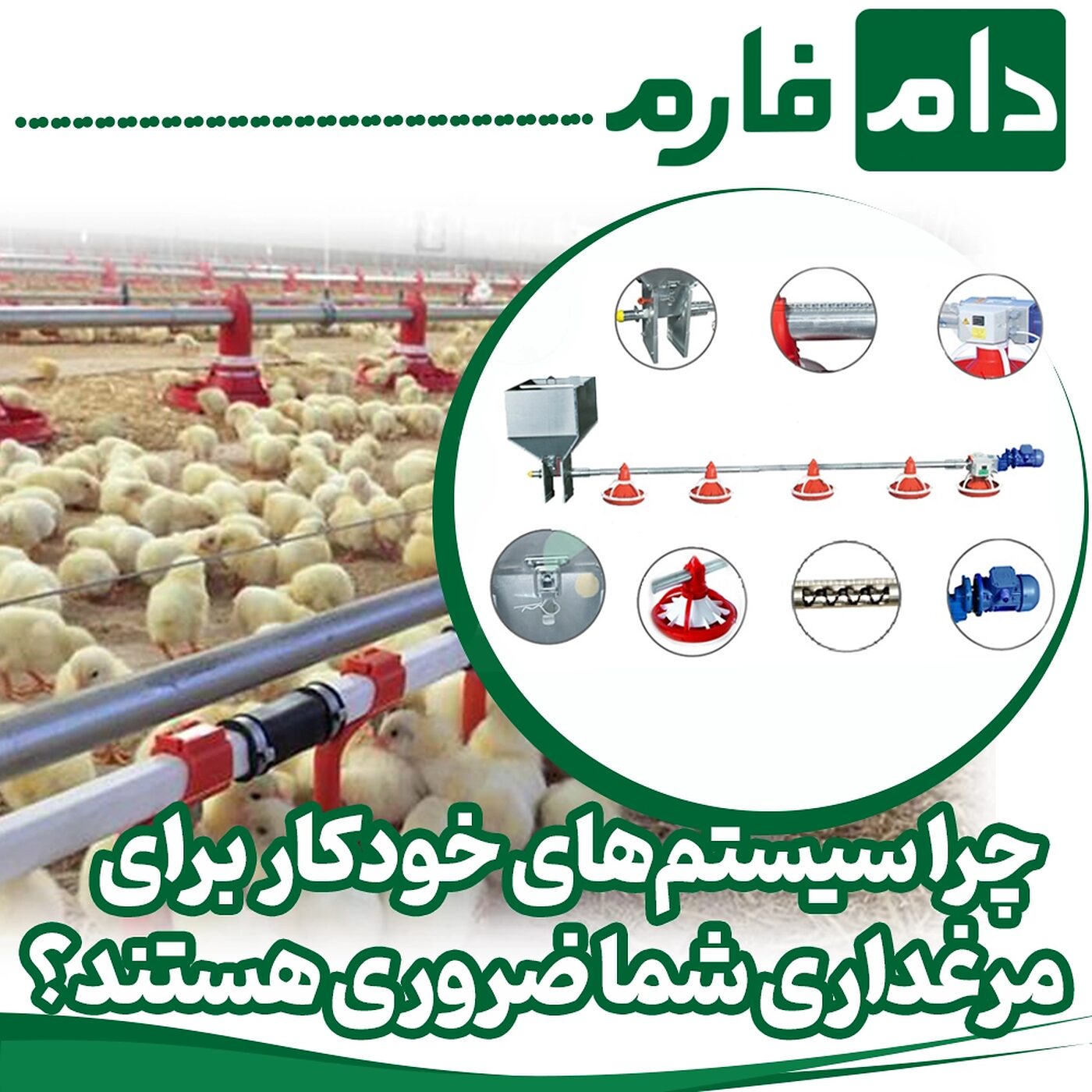 چگونه_با_استفاده_از_سیستم‌های_خودکار_مدیریت_مرغداری_را_بهبود_دهیم