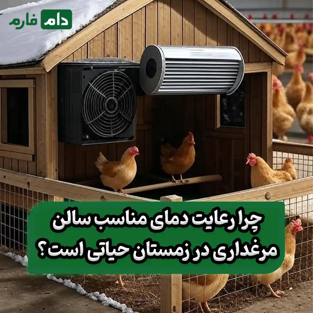 دمای_سالن_مرغداری_در_زمستان