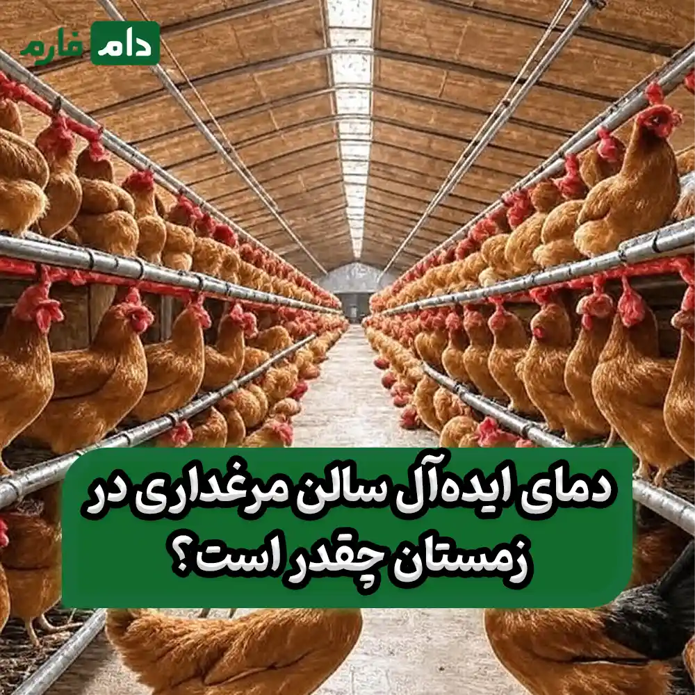 Poultry-farm-hall-in-winter