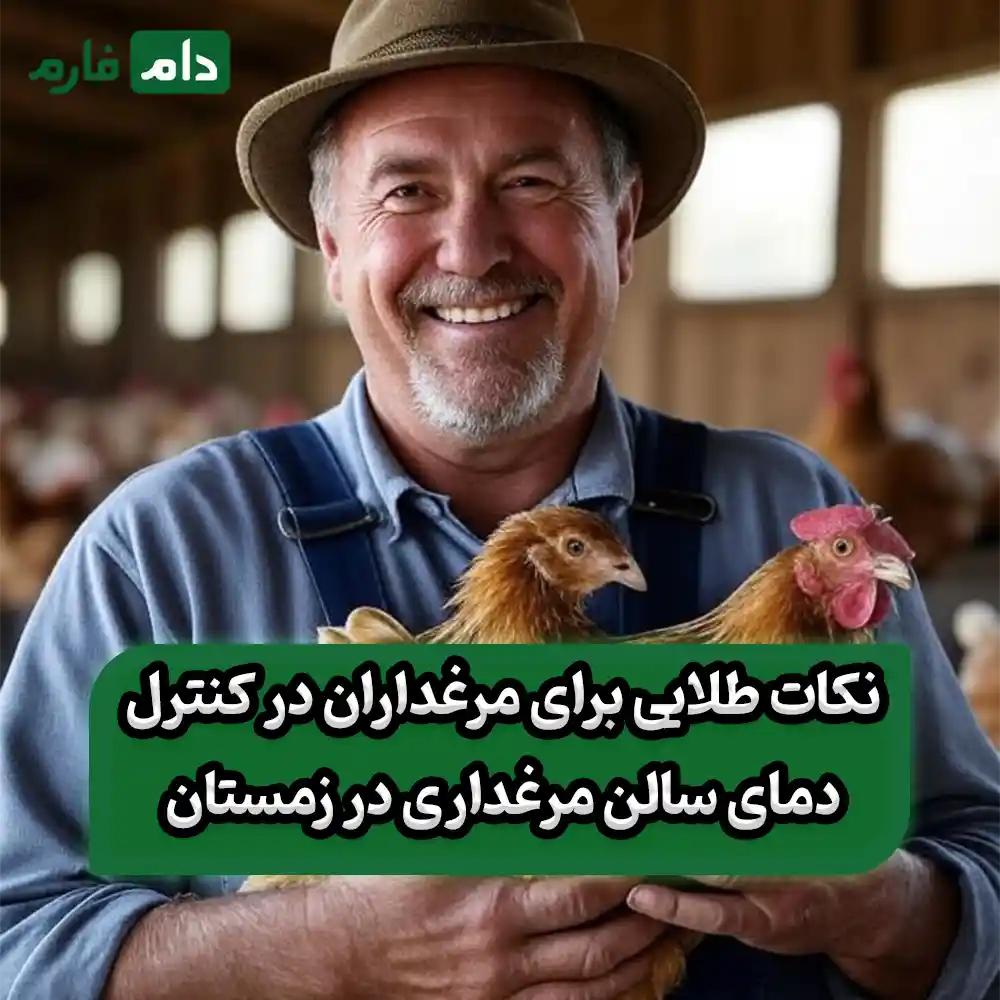 Poultry-farm-hall-in-winter