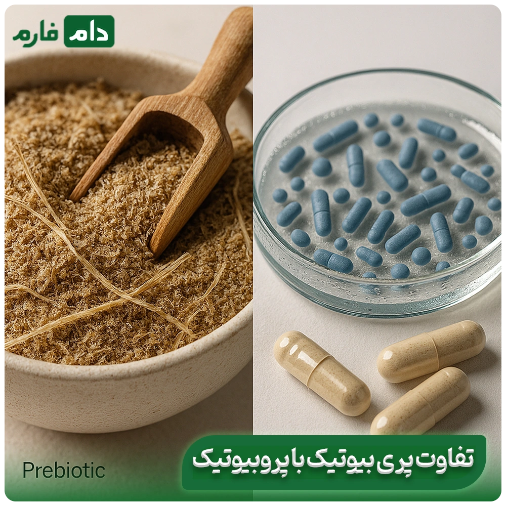 naqsh-pari-biotik-ve-sinbiotikeh-cpeha-dar-jireh-morgh