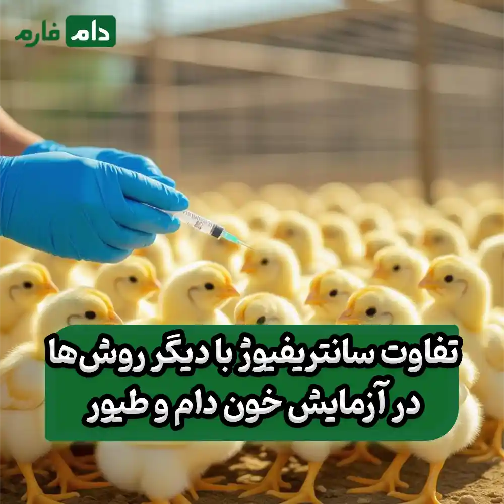 Centrifuge-and-its-application-in-livestock-and-poultry-blood-testing