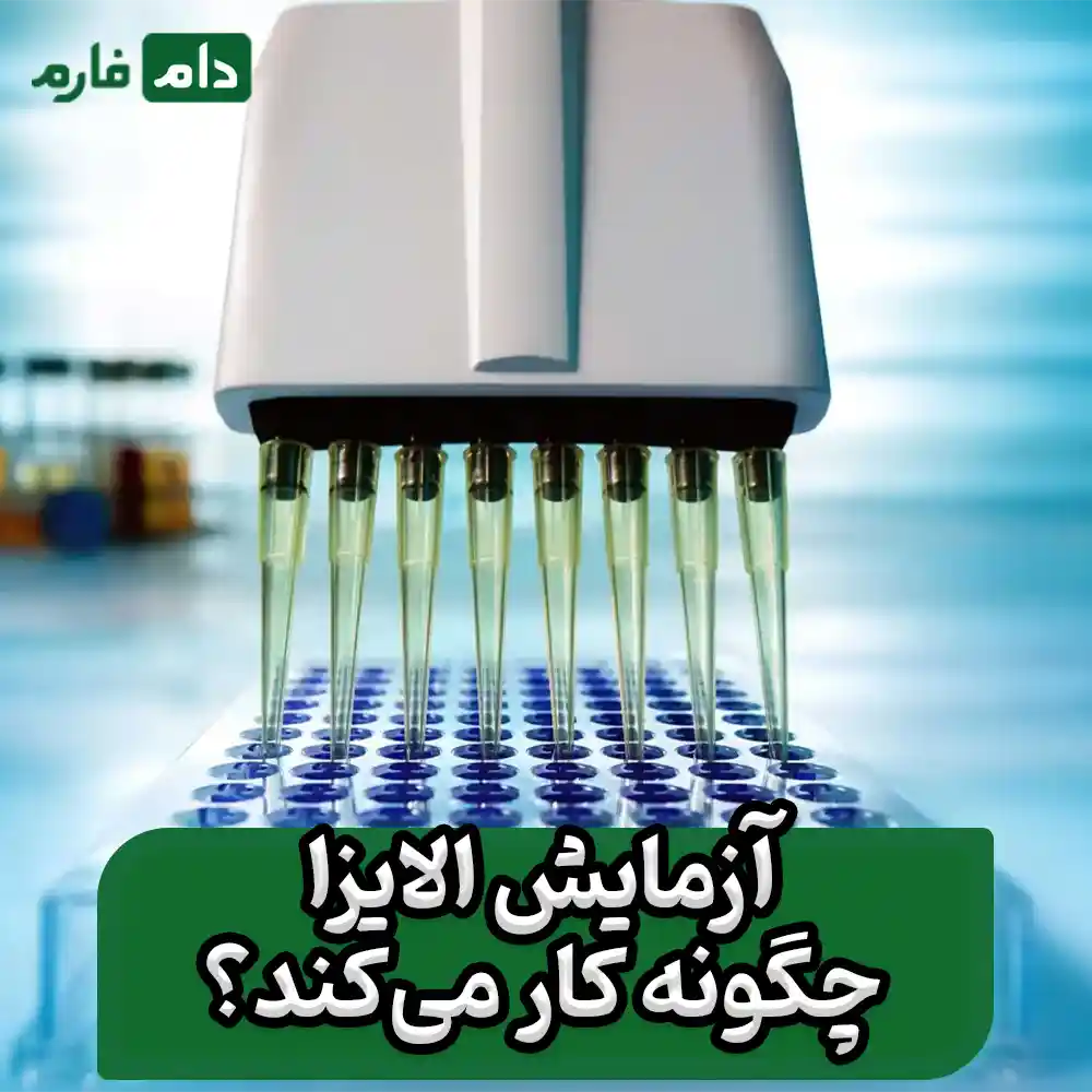 آزمایش_الایزا_چیست_و_چرا_در_دامپزشکی_اهمیت_دارد؟