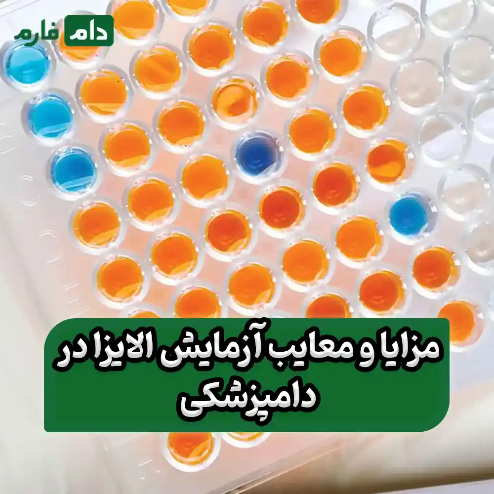 What-is-the-ELISA-test-and-why-is-it-important-in-veterinary-medicine