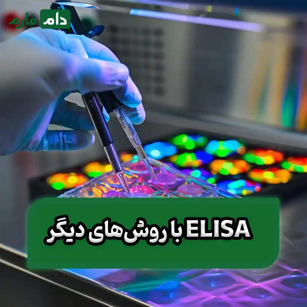 What-is-the-ELISA-test-and-why-is-it-important-in-veterinary-medicine