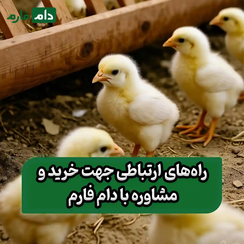 Arian-Gholamhossein-Ahmadpour-Company-09190089057