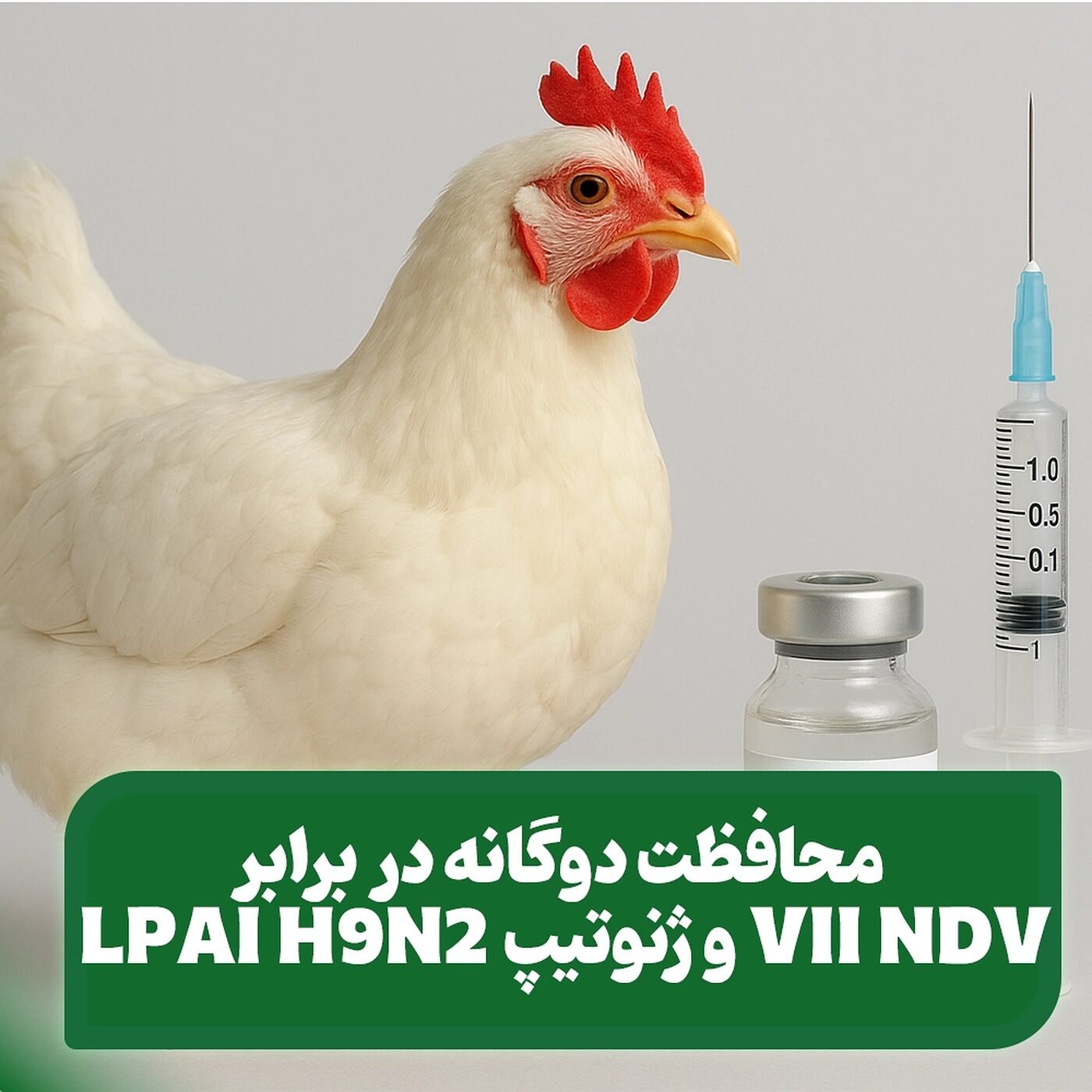 واکسن های دو ظرفیتی : محافظت همزمان علیه سویه H9N2 و ژنوتیپ VII NDV