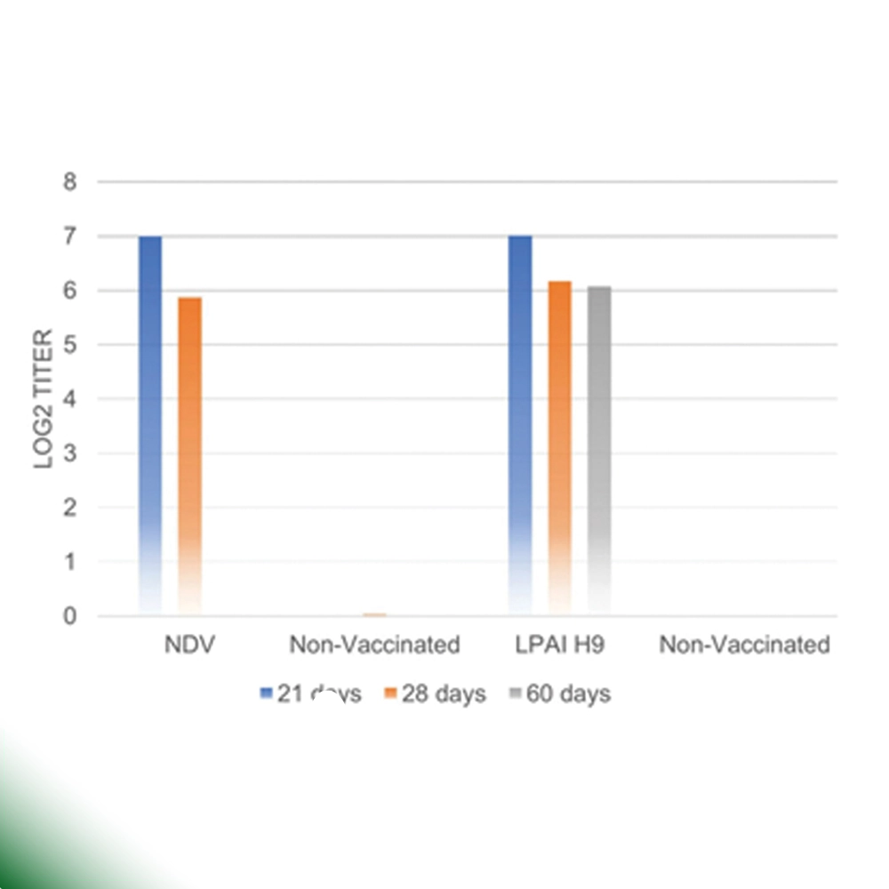 Dual-protection-against-LPAI-H9N2-and-genotype-VII-NDV