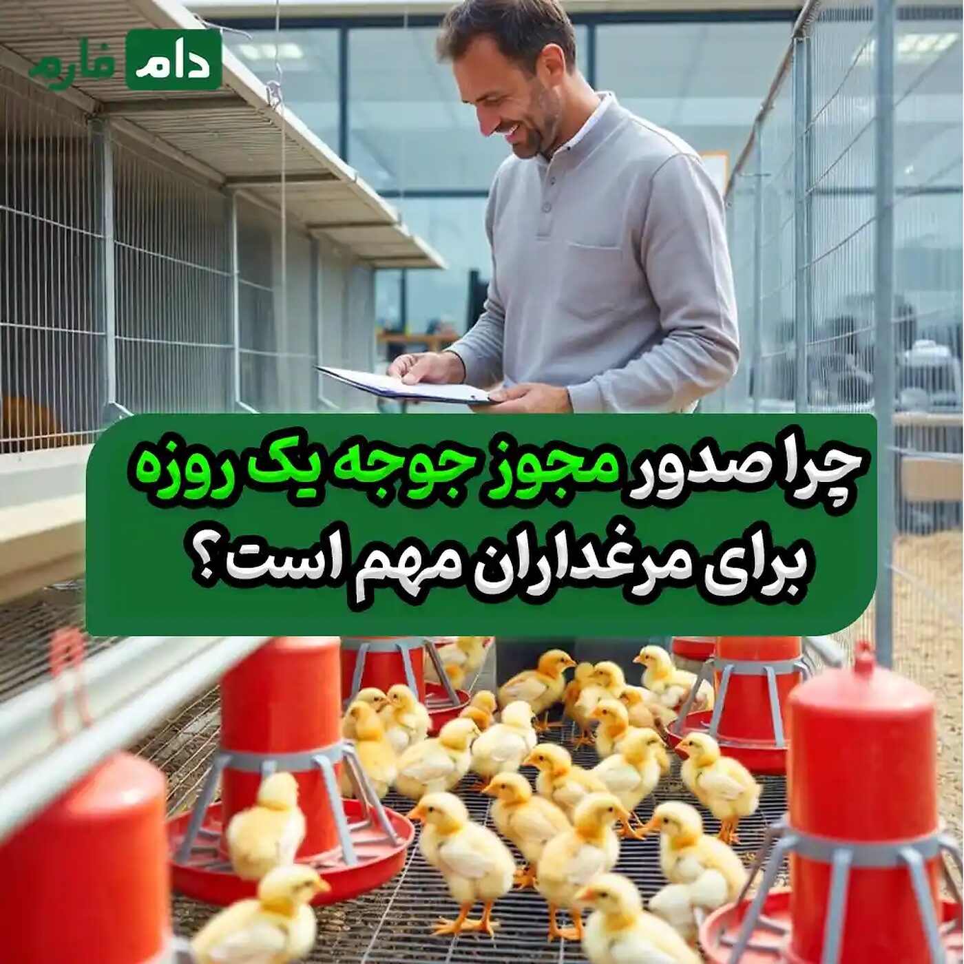 صدور_مجوز_جوجه_یک_روزه_90001101