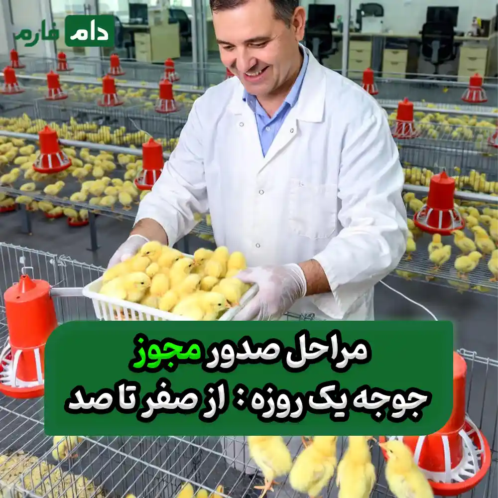 Issuing-a-license-for-one-day-old-chicks