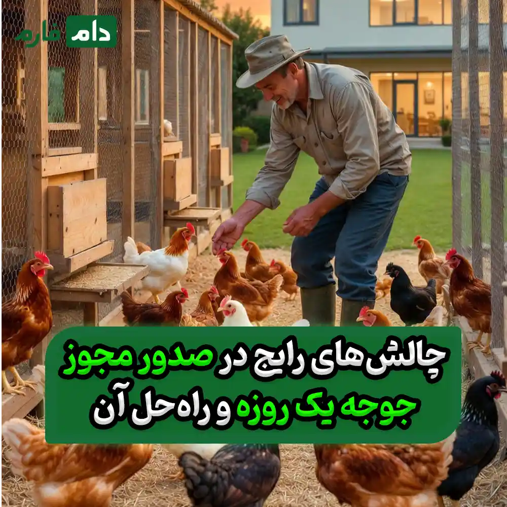 Issuing-a-license-for-one-day-old-chicks