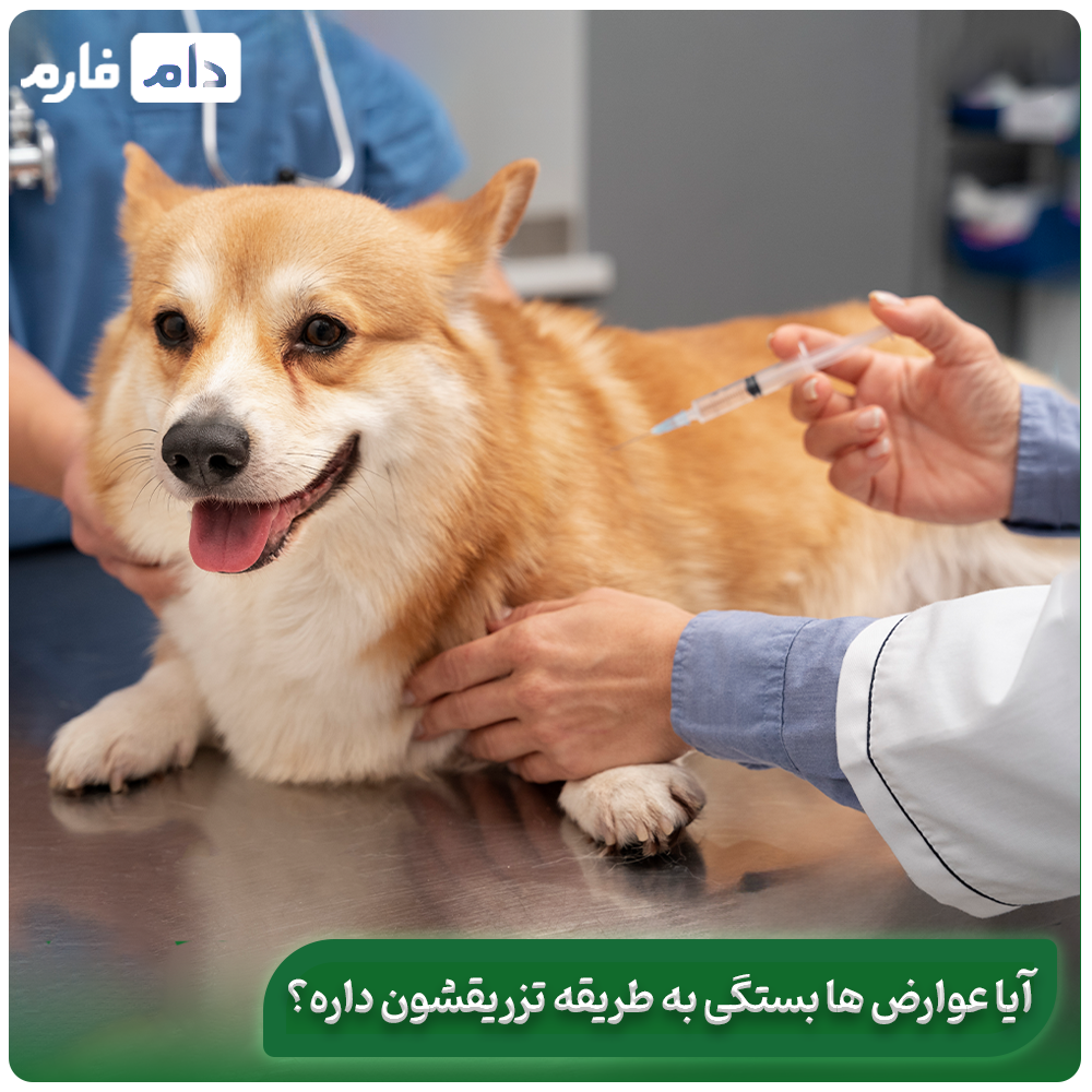 What-are-the-side-effects-of-dog-vaccines-and-why-should-there-be-a-solution-for-these-side-effects