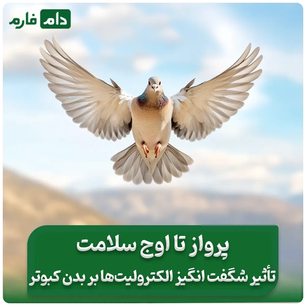 پرواز_تا_اوج_سلامت_:_تأثیر_شگفت‌انگیز_الکترولیت‌ها_بر_بدن_کبوتر