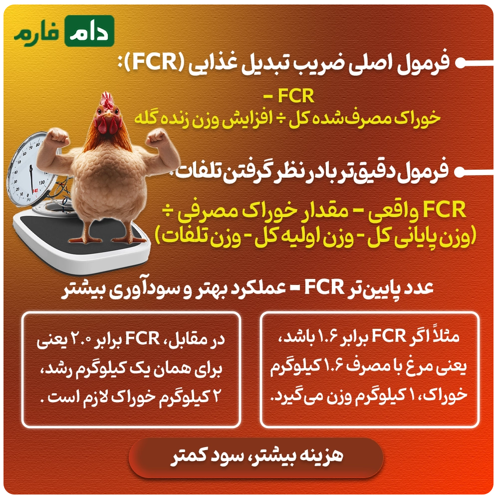 The-secret-to-the-profit-of-successful-poultry-farmers:-How-to-multiply-your-profits-by-reducing-the-feed-conversion-ratio-FCR