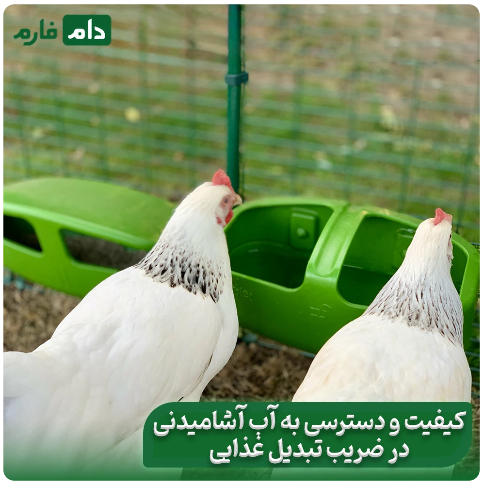 The-secret-to-the-profit-of-successful-poultry-farmers:-How-to-multiply-your-profits-by-reducing-the-feed-conversion-ratio-FCR