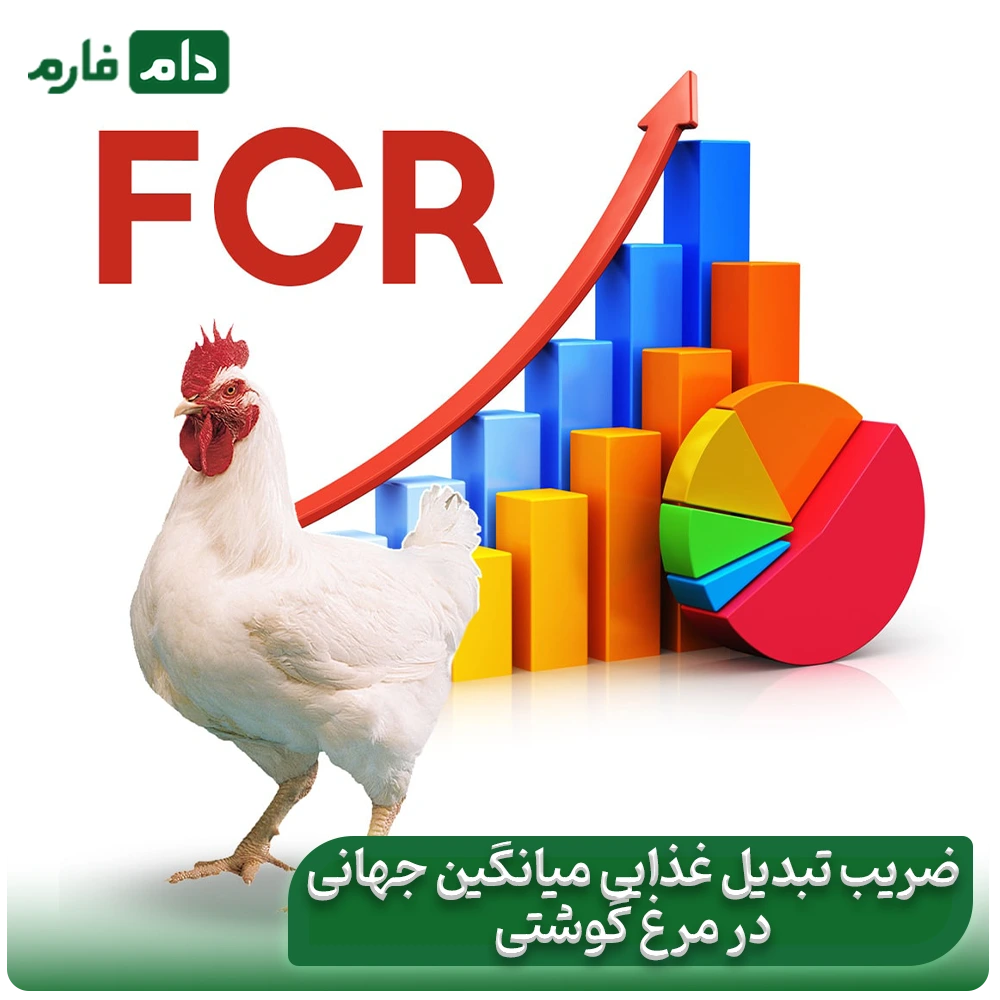 The-secret-to-the-profit-of-successful-poultry-farmers:-How-to-multiply-your-profits-by-reducing-the-feed-conversion-ratio-FCR