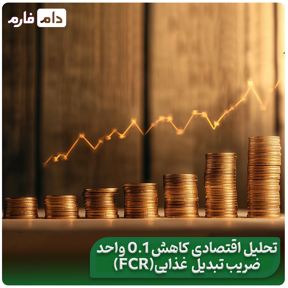 The-secret-to-the-profit-of-successful-poultry-farmers:-How-to-multiply-your-profits-by-reducing-the-feed-conversion-ratio-FCR