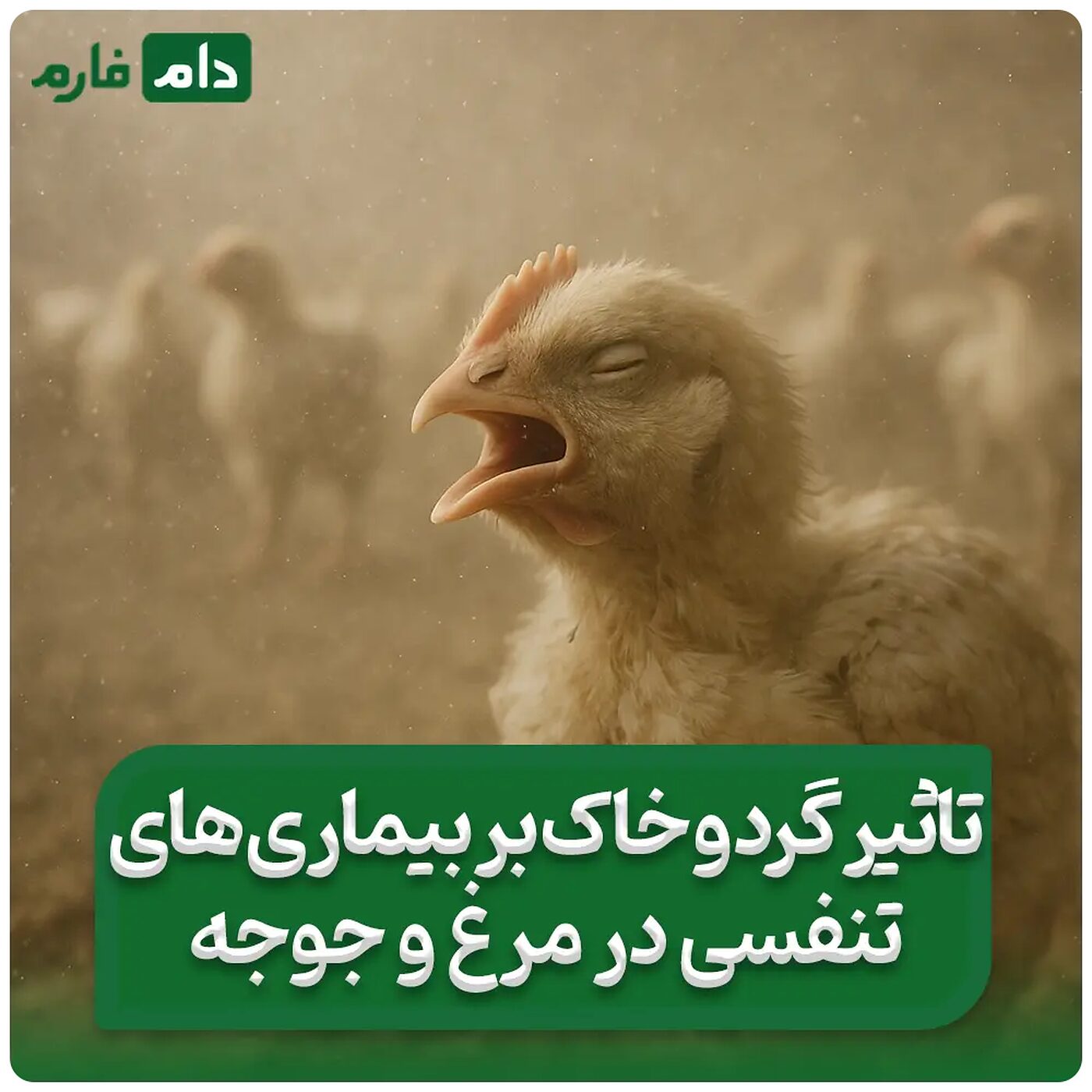 تاثیر_گرد_و_خاک_بر_بیماری_تنفسی_در_مرغ