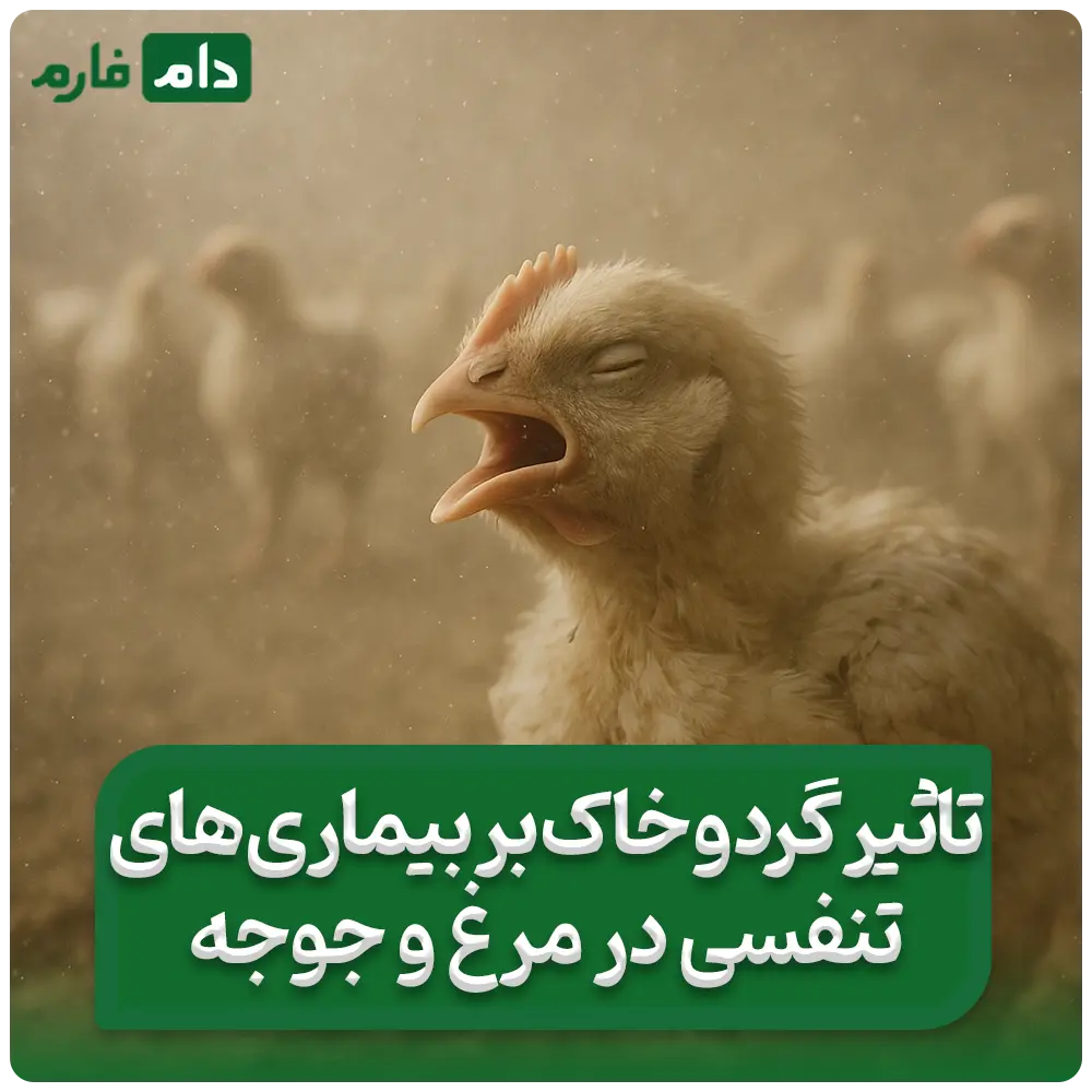تاثیر_گرد_و_خاک_بر_بیماری_تنفسی_در_مرغ