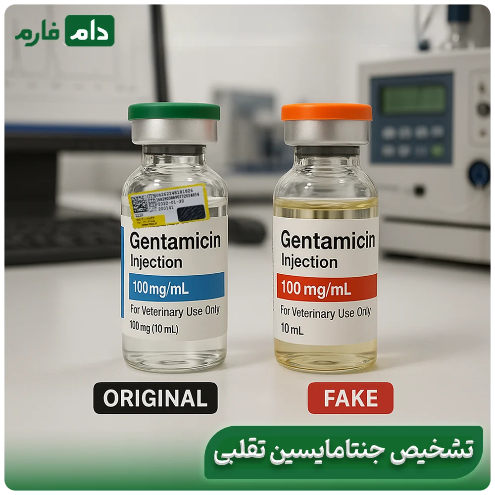 Definitive-treatment-of-chicken-infection-with-gentamicin-Best-time-to-take-gentamicin