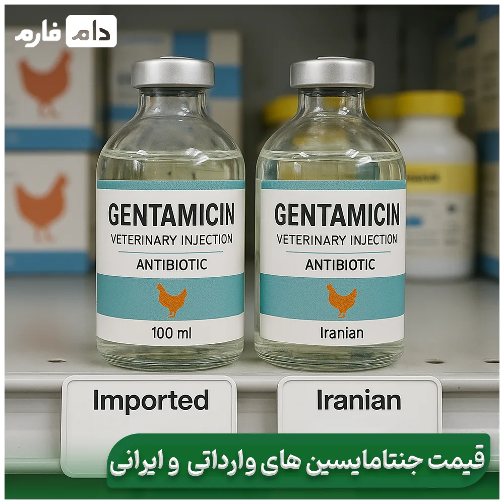 Definitive-treatment-of-chicken-infection-with-gentamicin-Best-time-to-take-gentamicin