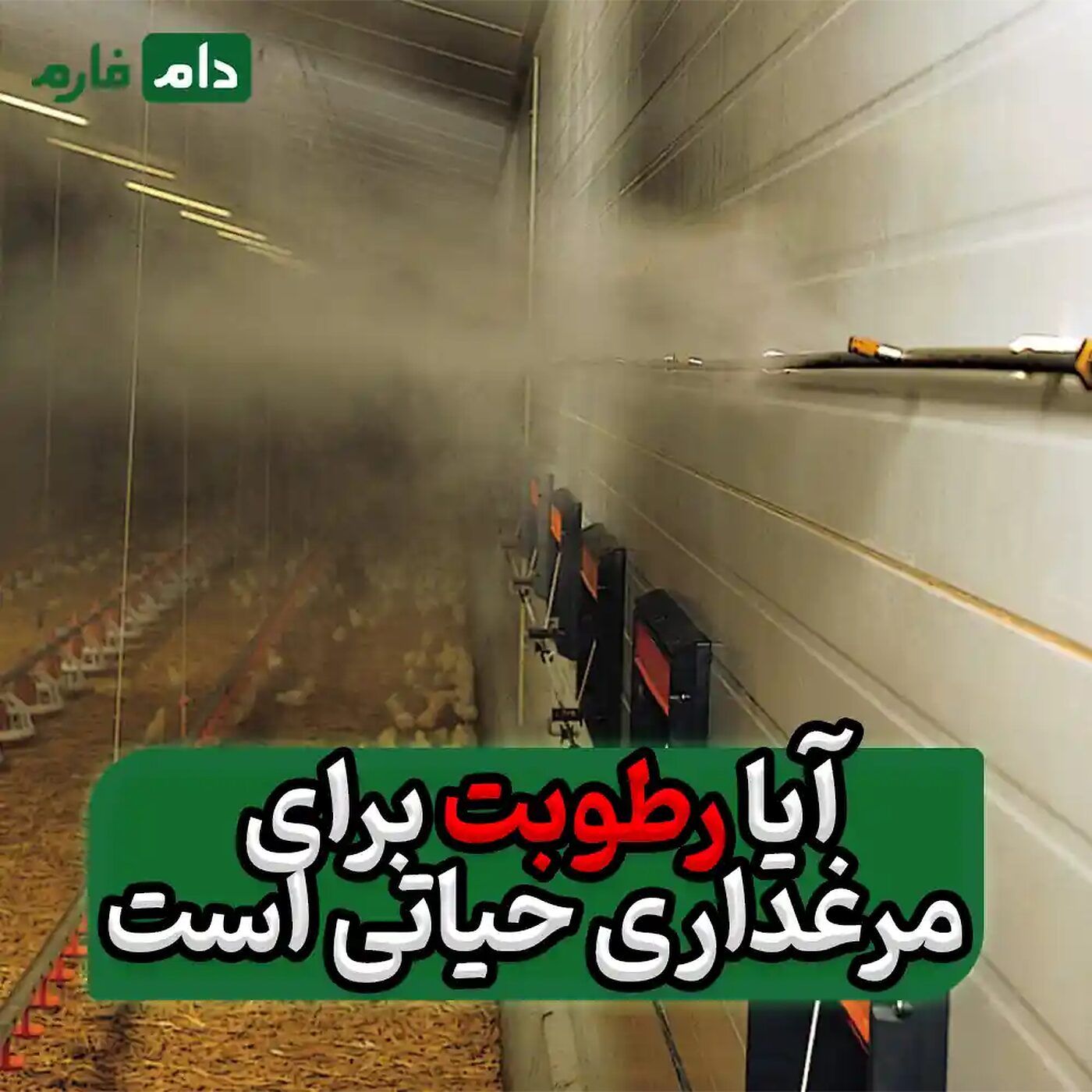 4_روش_اصولی_و_کم_هزینه_برای_ایجاد_رطوبت_در_مرغداری