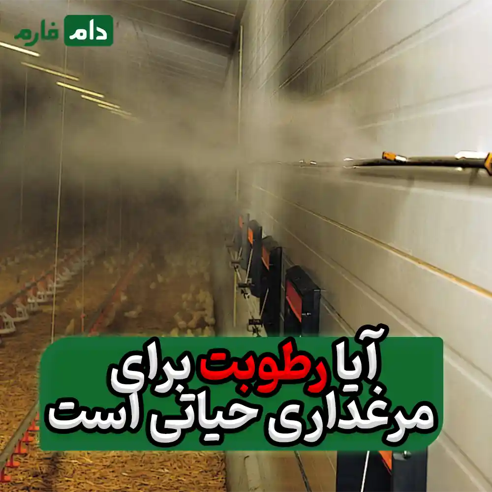 4_روش_اصولی_و_کم_هزینه_برای_ایجاد_رطوبت_در_مرغداری