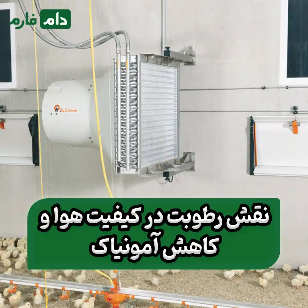 Creating-humidity-in-the-poultry-farm