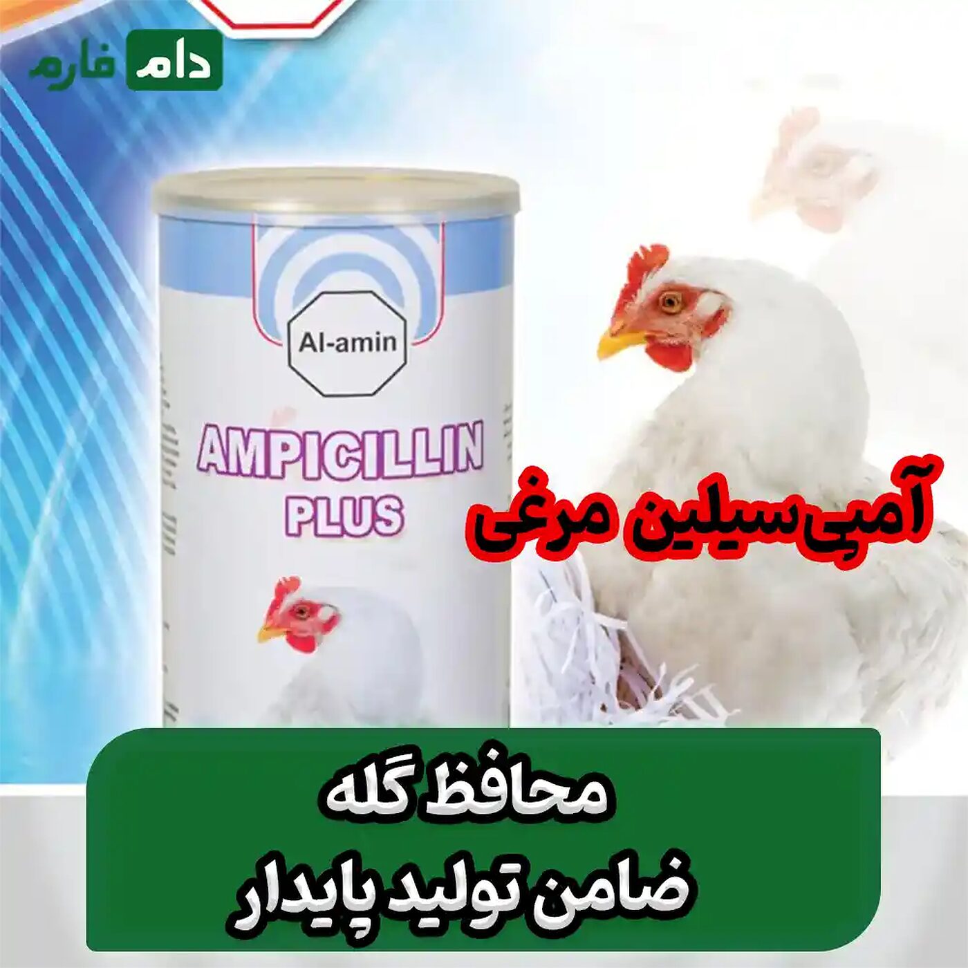 درمان_فوری_بیماری_های_عفونتی_با_آمپی‌سیلین_مرغی