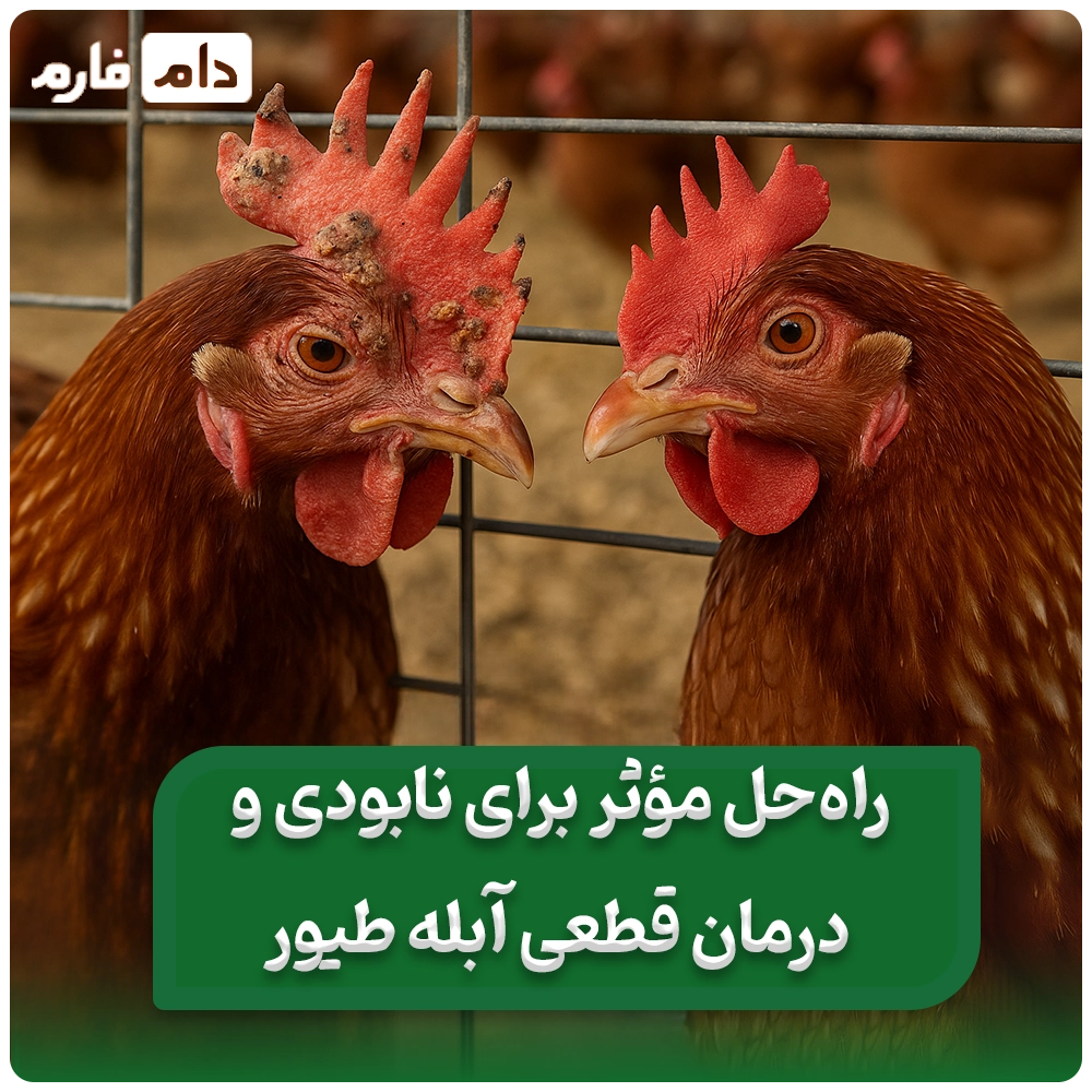 3-Home-Remedies-to-Treat-Chicken-Pox-Without-Medication