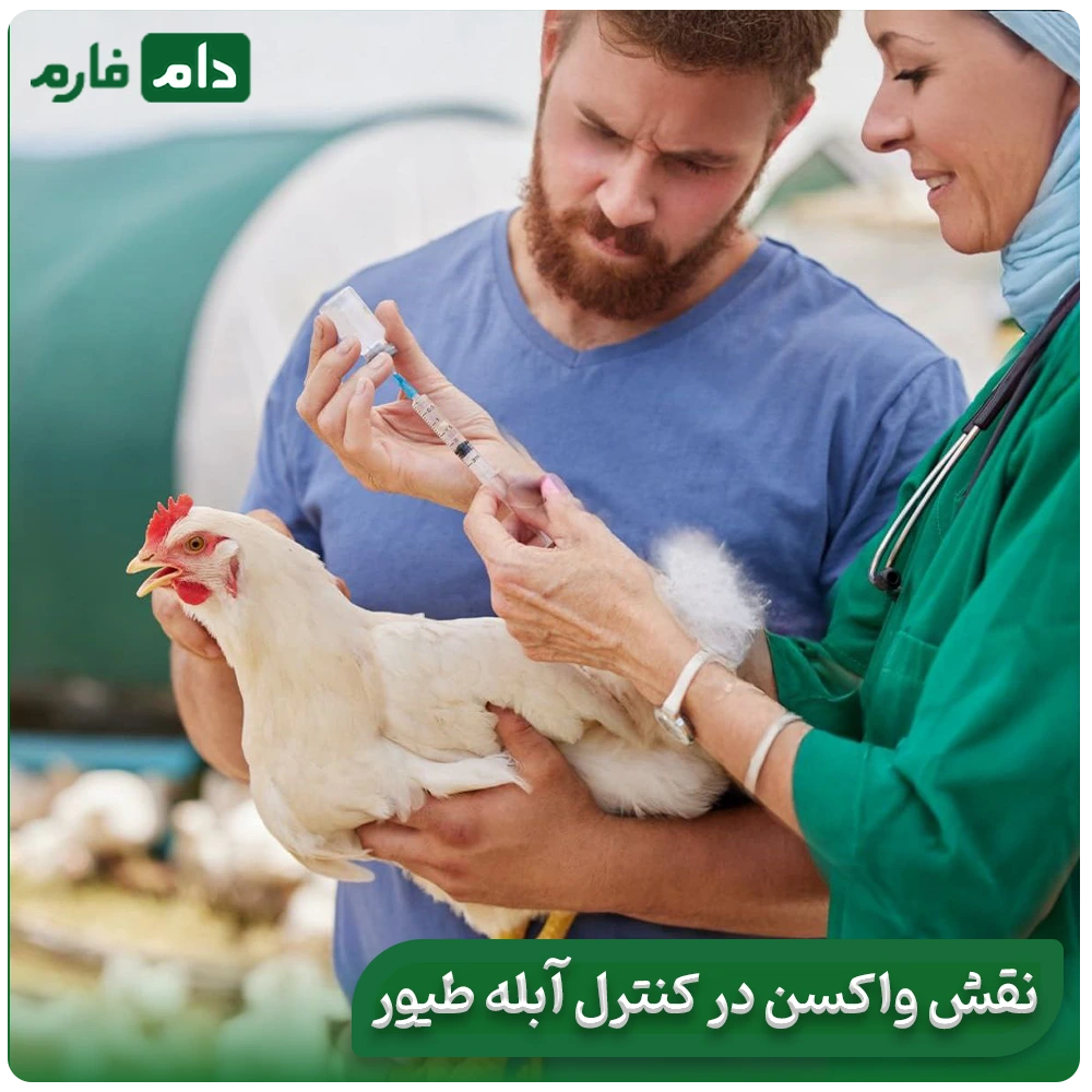 3-Home-Remedies-to-Treat-Chicken-Pox-Without-Medication