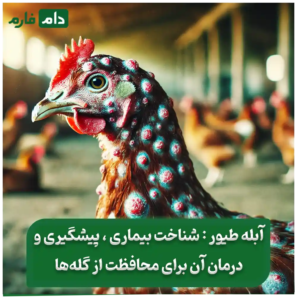 3_درمان_خانگی_برای_درمان_آبله_طیور_بدون_نیاز_به_دارو