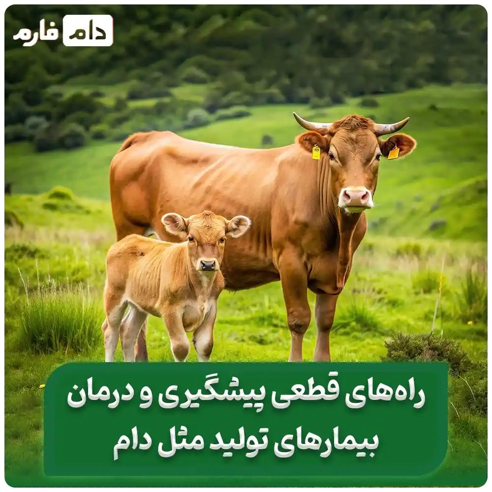_انواع_بیماری_تولیدمثل_دام_و_مبارزه_با_بیماری‌های_شایع